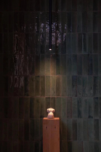 Специальный отель (13)