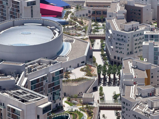 Нью-Йорк-Университет4