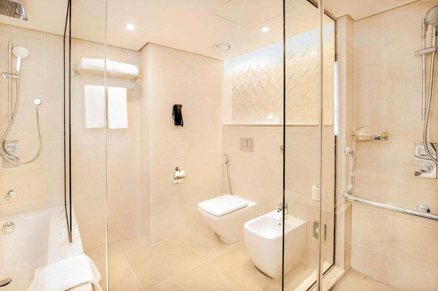 Radisson Bul Hotel, Abu -Dhabi5